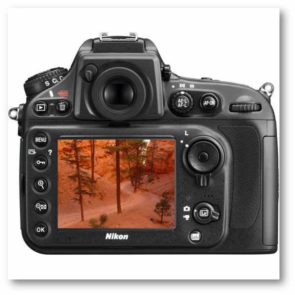 Sửa chữa body Nikon D800 - Sửa máy ảnh